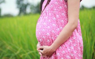 Все триместры беременности по неделям с указанием самых опасных периодов Как распределяются триместры беременности по неделям